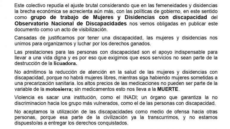 8M La discapacidad no debe ser considerada un gasto. Opinión del Grupo de trabajo de Mujeres y Disidencias con discapacidad